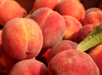 복숭아