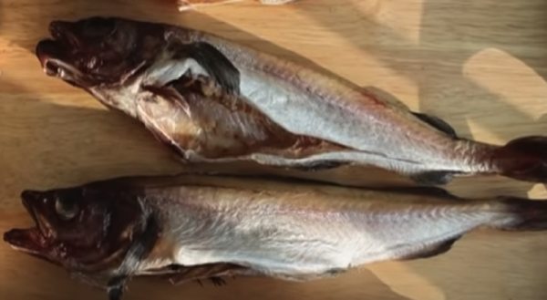 명태 살짝 건조된 상태