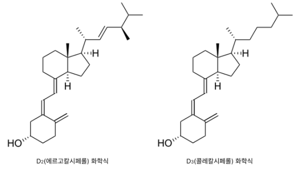 비타민 D 화학식