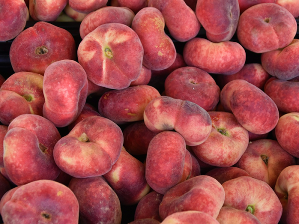 납작복숭아