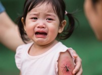 여자 아이가 모기에 물려 심한 발진으로 고통받음