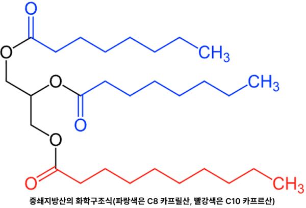 MCT의 화학구조