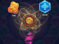 크롬과 포도당, 지방, 단백질과의 대사 작용