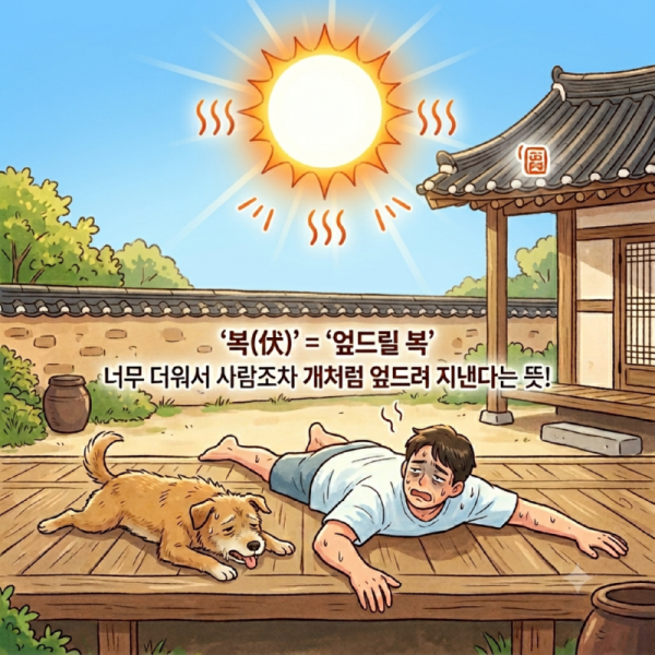 삼복더위.png